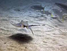 友博娱乐 -t鞨飃賴??鳐?H?Dc?h鉜B柈???窎藇抨讒(鈭瀀3xckwt1ztoa2da鈭)